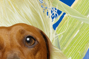 Corn Dog screen cap